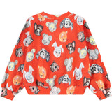 Molo Rising Sun Marge Collegegenser