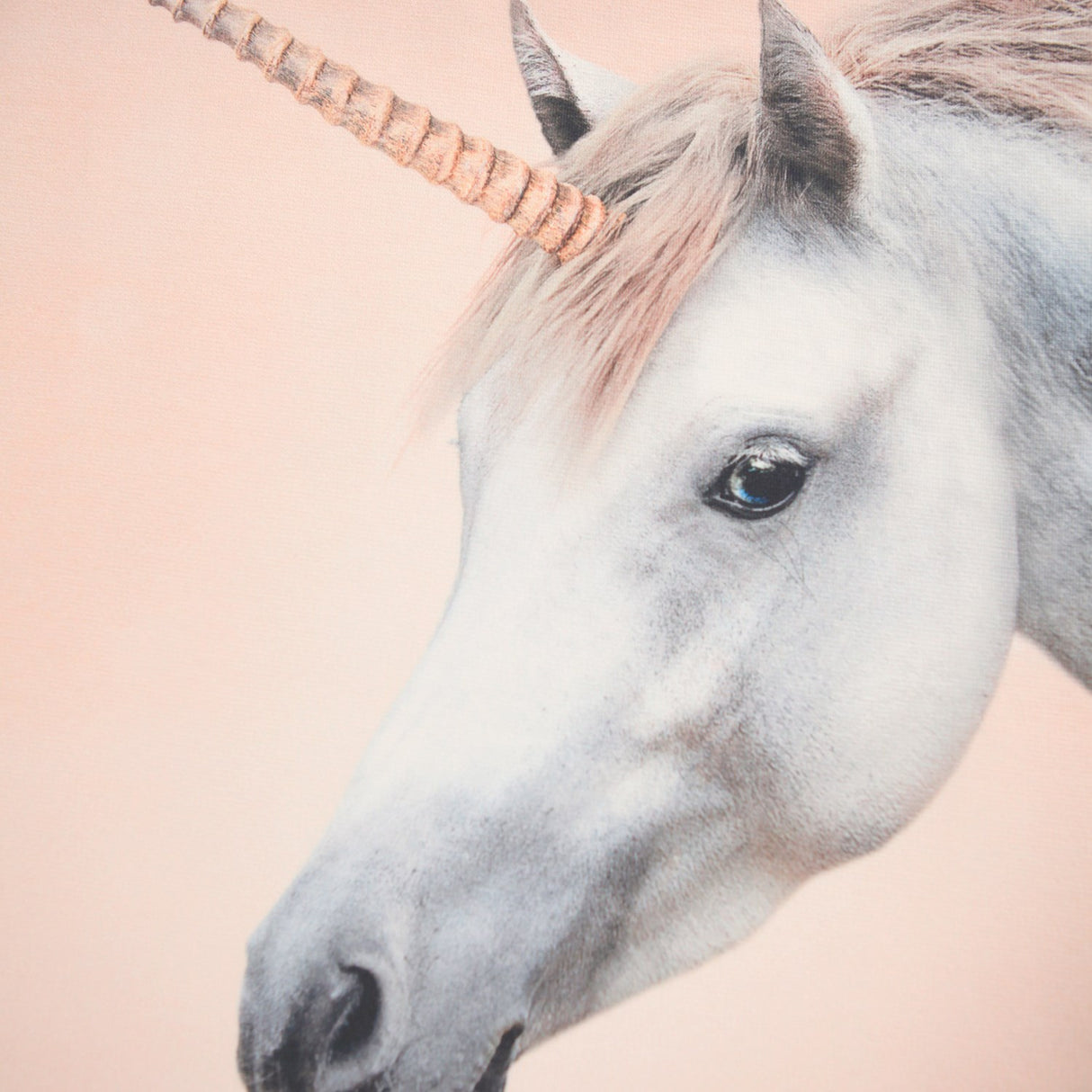 Molo Born A Unicorn Mountoo Collegegenser