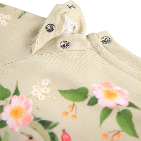 Molo Forest Bunny Disc Collegegenser