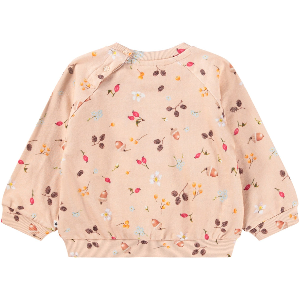 Molo Foraging Rose Disc Collegegenser