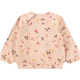 Molo Foraging Rose Disc Collegegenser