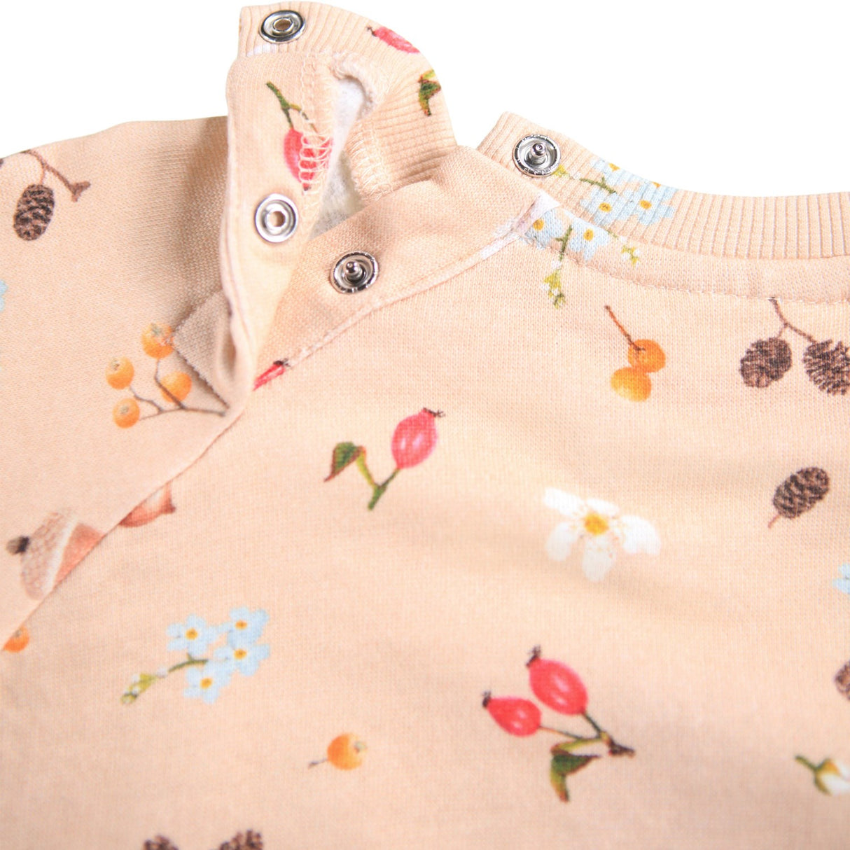 Molo Foraging Rose Disc Collegegenser