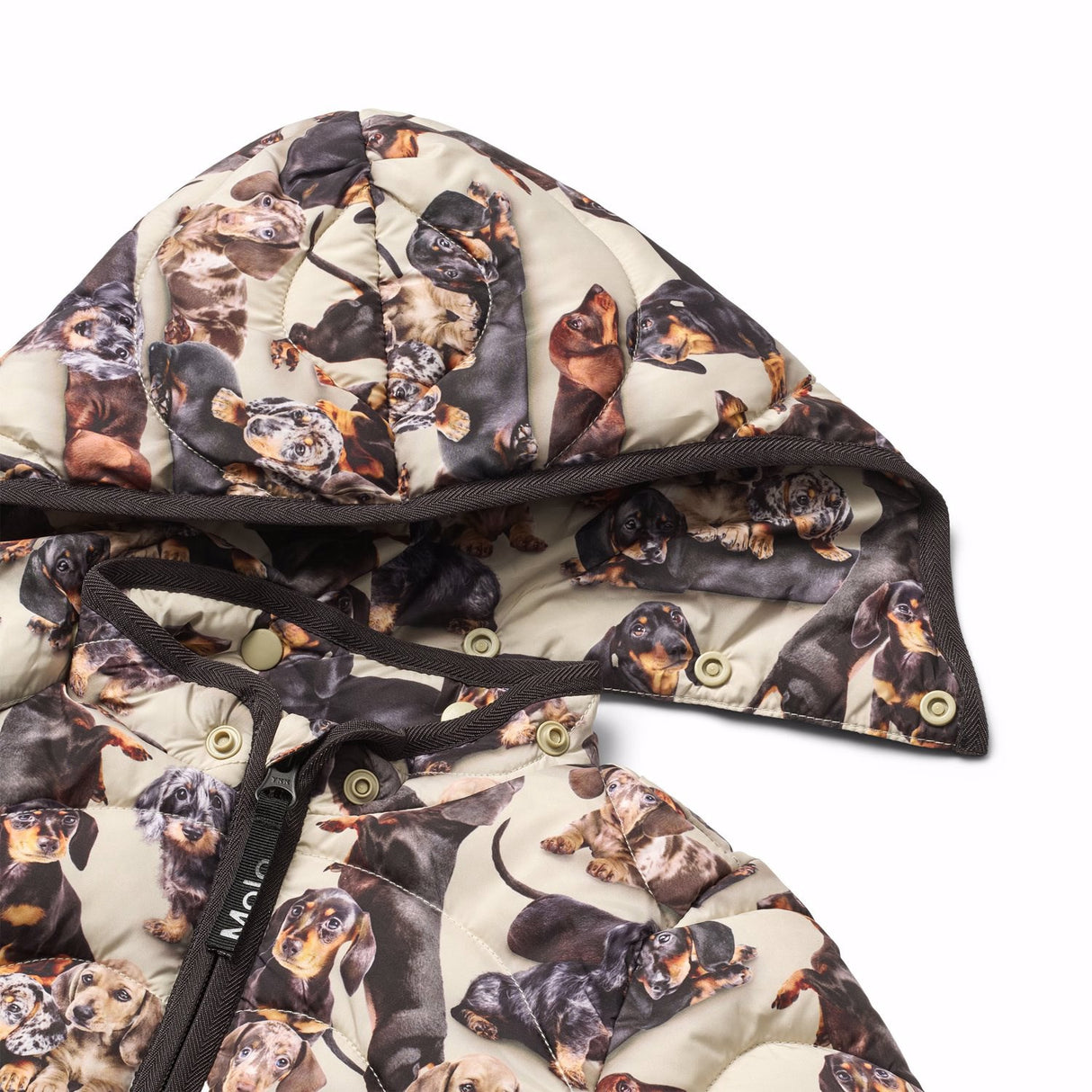 Molo Dashshund Soft Harmony Jakke