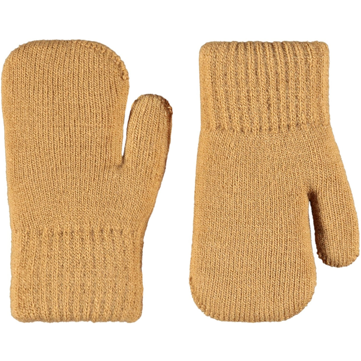 Molo Pomeranian Kenau Votter