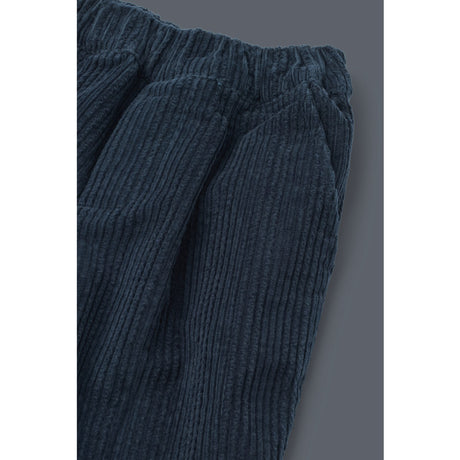 LIEWOOD Classic Navy Borris Corduroy Bukser