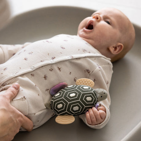 Sebra Turbo The Turtle Activity Skrangle Med Speil