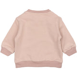 THE NEW Siblings Adobe Rose TNSBPandora Collegegenser