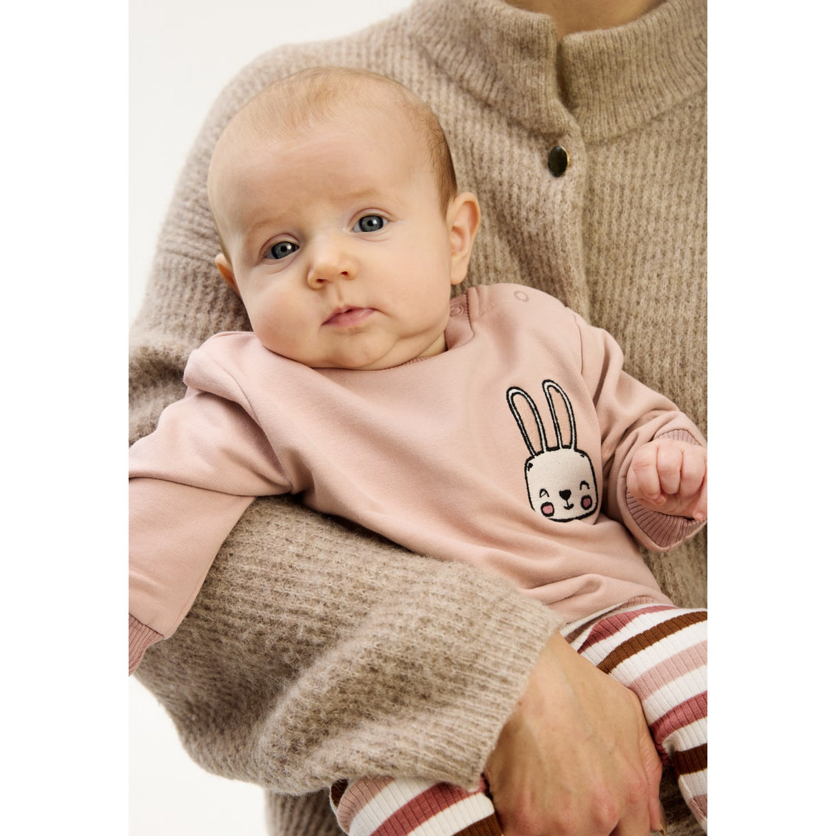 THE NEW Siblings Adobe Rose TNSBPandora Collegegenser