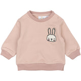 THE NEW Siblings Adobe Rose TNSBPandora Collegegenser