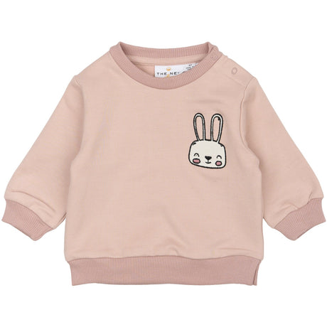 THE NEW Siblings Adobe Rose TNSBPandora Collegegenser