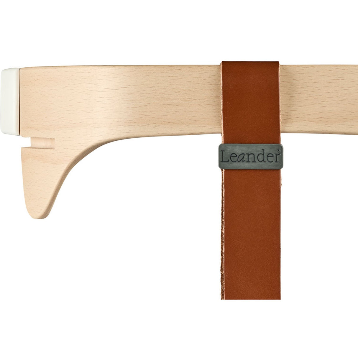 Leander Beech Nature Kleshenger Til Leander Høystol
