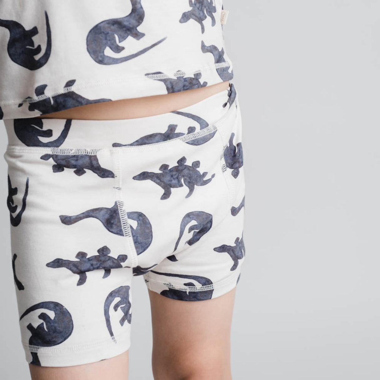 That's Mine Mono Dino Ebbe Boxershorts 2-Pakning