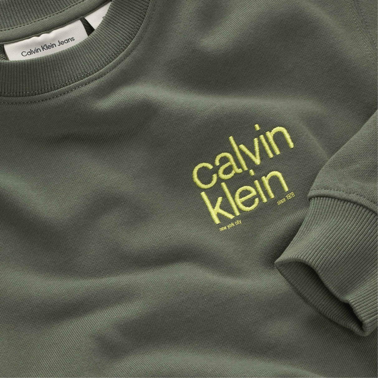 Calvin Klein Thyme Relaxed Back Print Cn Collegegenser