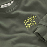 Calvin Klein Thyme Relaxed Back Print Cn Collegegenser