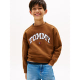 Tommy Hilfiger Pecan Nut Varsity Raised Print Collegegenser