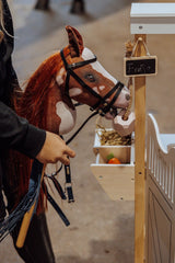 av Astrup Kjepphest, Coco, Rødbrun/Hvit