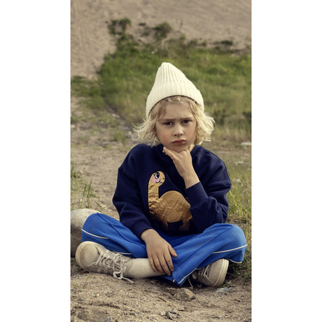 Mini Rodini Blue Dino Application Collegegenser