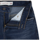 Levi's Sierra Pass Stay Loose Taper Jeans