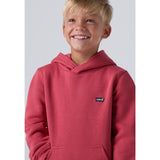 Levi's Cardinal Mini Batwing Pull Over Hettegenser