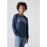 Levi's Big Dipper Collegiate Ls Tee