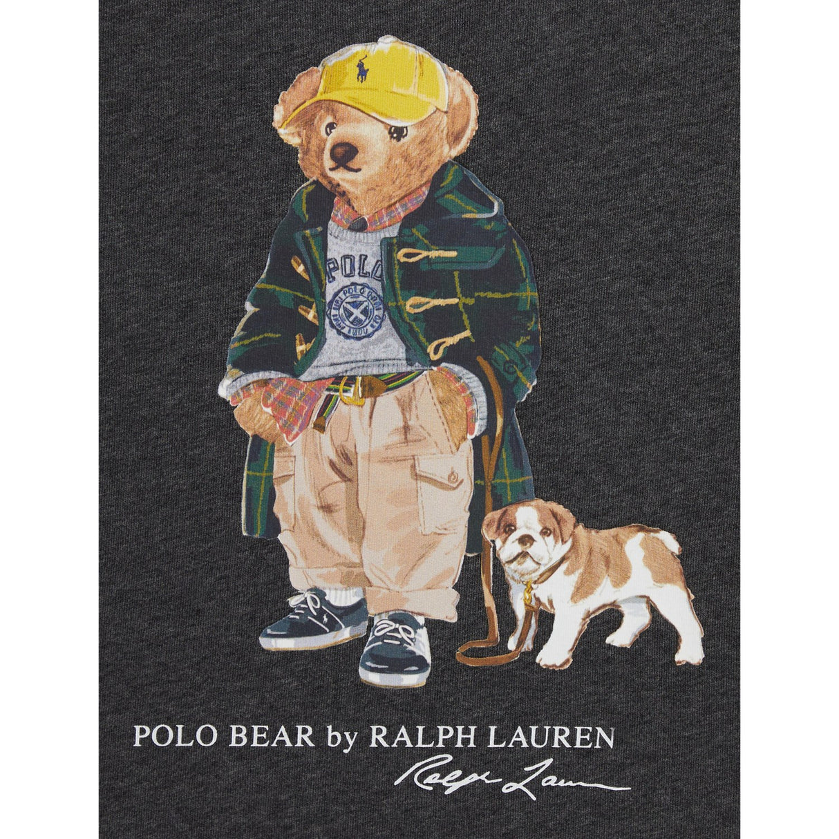 Polo Ralph Lauren Windsor Heather Boy Collegegenser