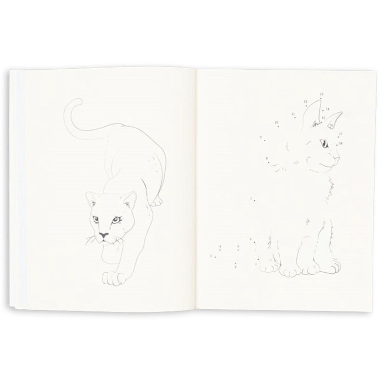 Konges Sløjd Multi Activity Bok Med Colouring Pencils