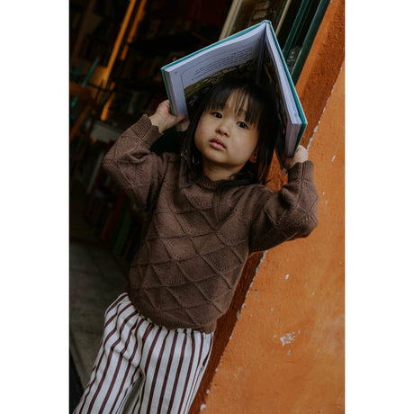 Fliink Coffee Bean Emily Strikk Pullover