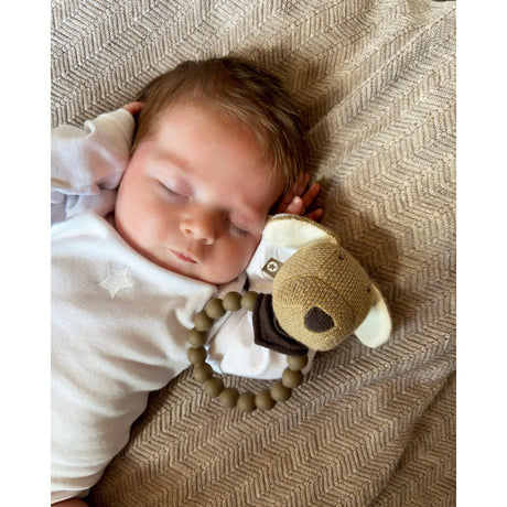 Smallstuff Nature Strikket Rangle Med Silikonering Hund