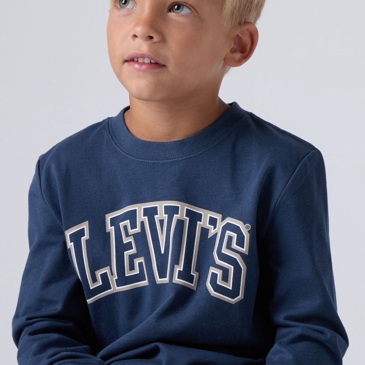 Levi's Big Dipper Collegiate Ls Tee