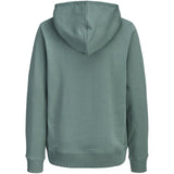 Jack & Jones Junior Mineral Blue Jjcollege Logo Sweat Hette Jnr