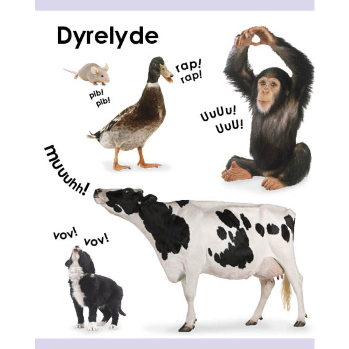 Forlaget Tukan Kigge-Pege-Snakke: Dyr