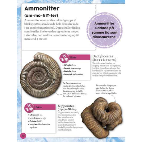 Forlaget Bolden Min Bog Om Fossiler