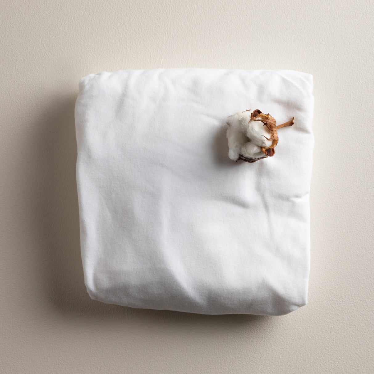 Sebra White Jersey Ark Baby