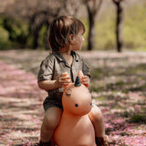 Find that Hippo Hoppe-Dyr - Luna Enhjørning