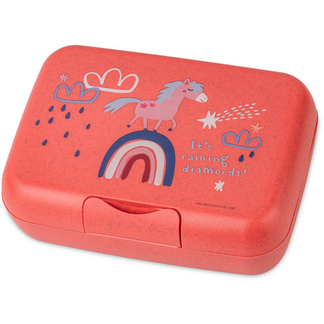 Koziol Organic Coral Red Lunch Box Med Separation Skål Candy L Dreams