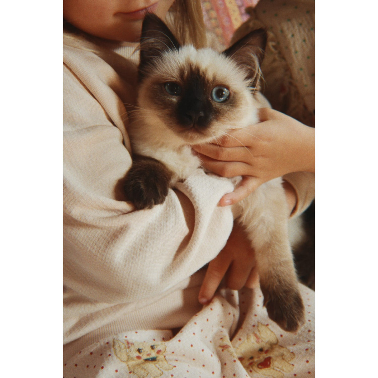 Konges Sløjd Whisper Pink Belli Collegegenser Ocs