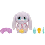 Baby Paws Just Born Kanin