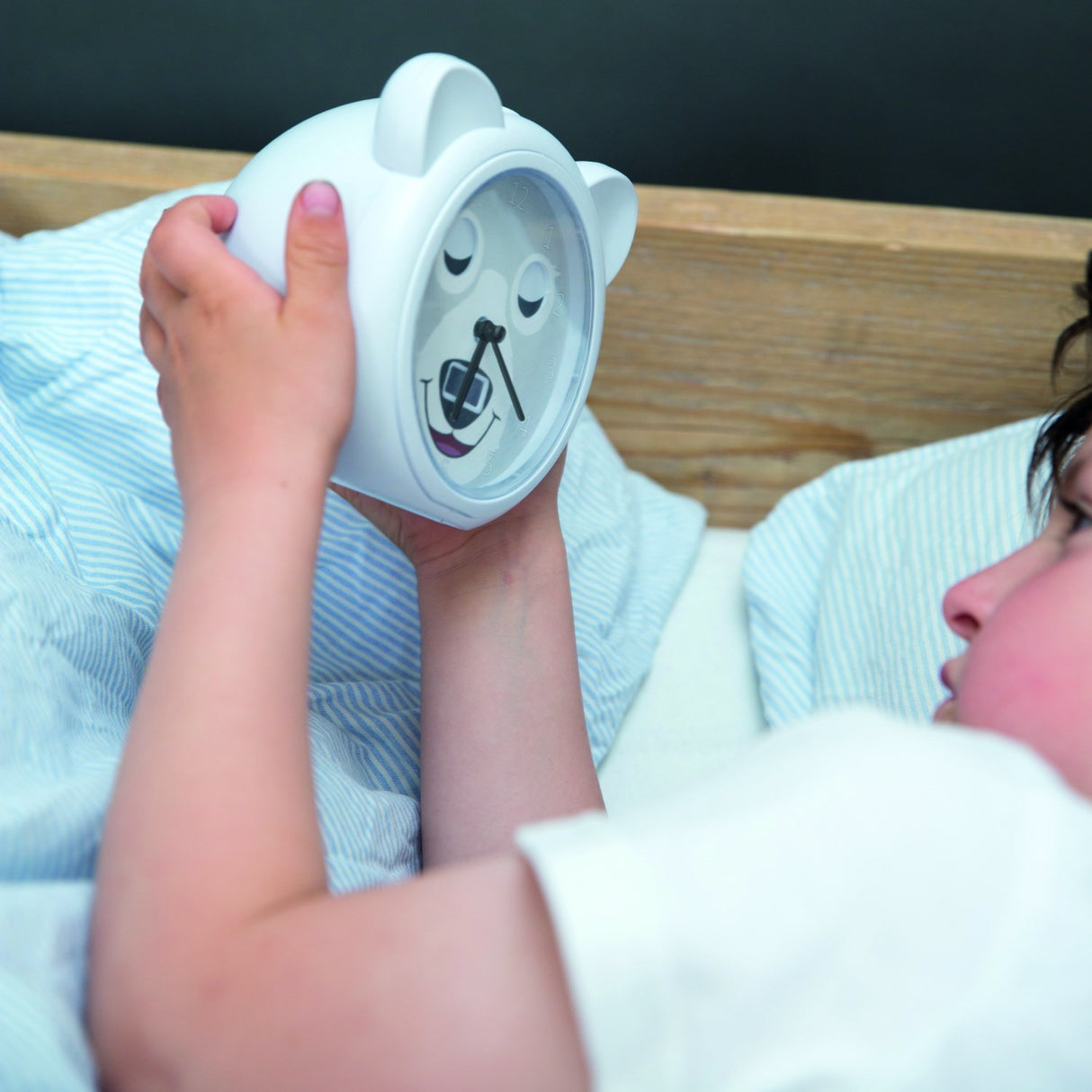 Zazu Grey Bobby The Bjørn Søvntrener