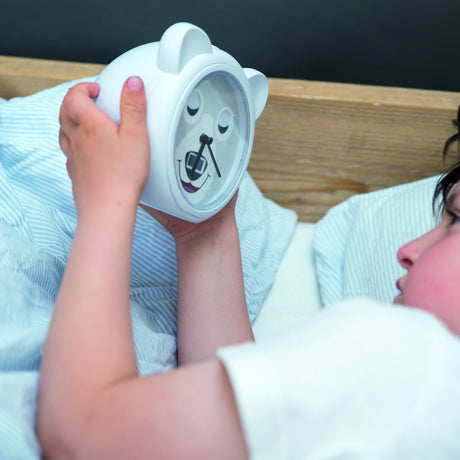 Zazu Grey Bobby The Bjørn Søvntrener