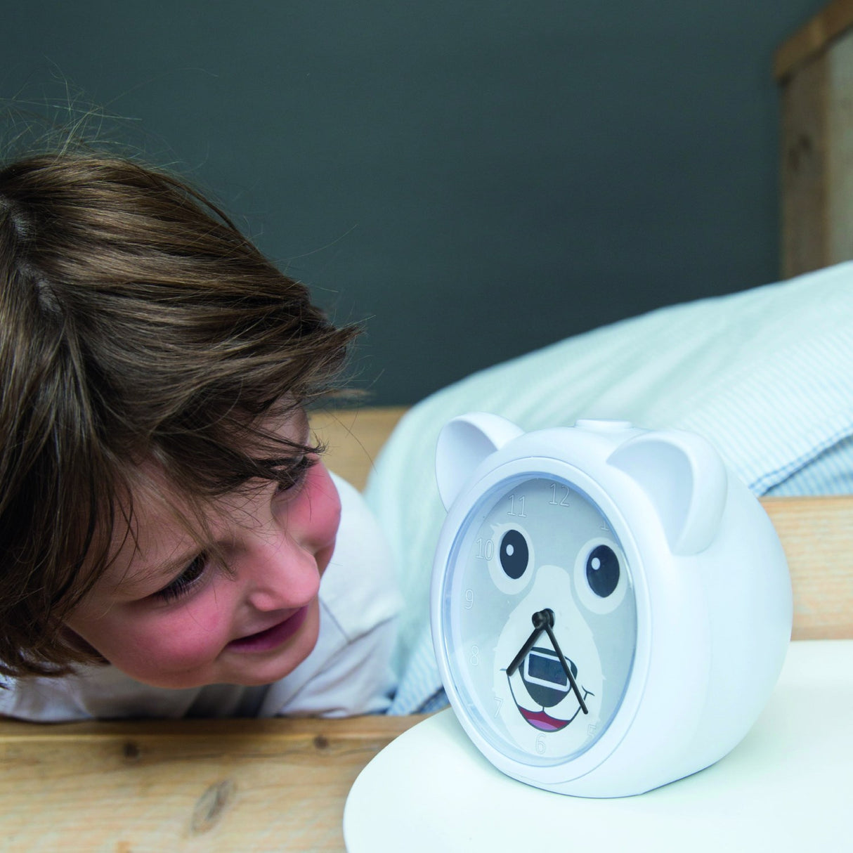 Zazu Grey Bobby The Bjørn Søvntrener