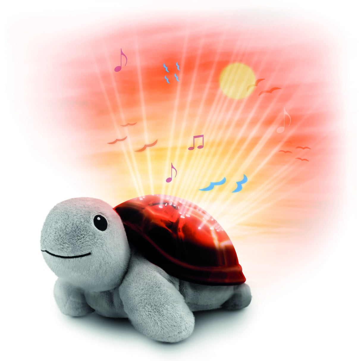 Zazu Brown Tim The Skilpadde Projector