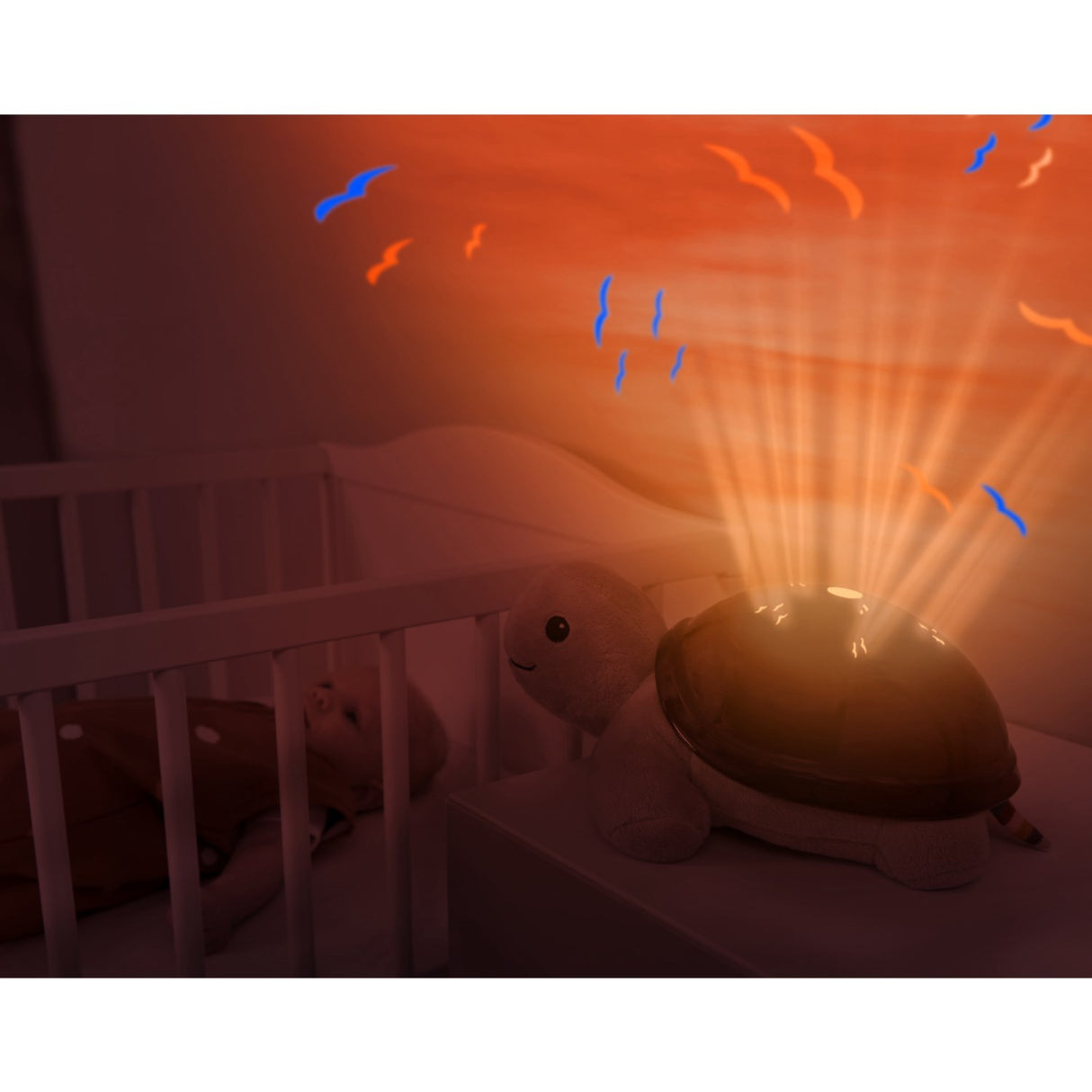 Zazu Brown Tim The Skilpadde Projector