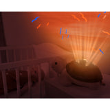 Zazu Brown Tim The Skilpadde Projector