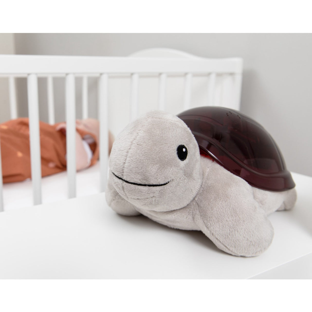 Zazu Brown Tim The Skilpadde Projector