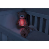 Zazu Brown Brody The Bjørn Søvntrener