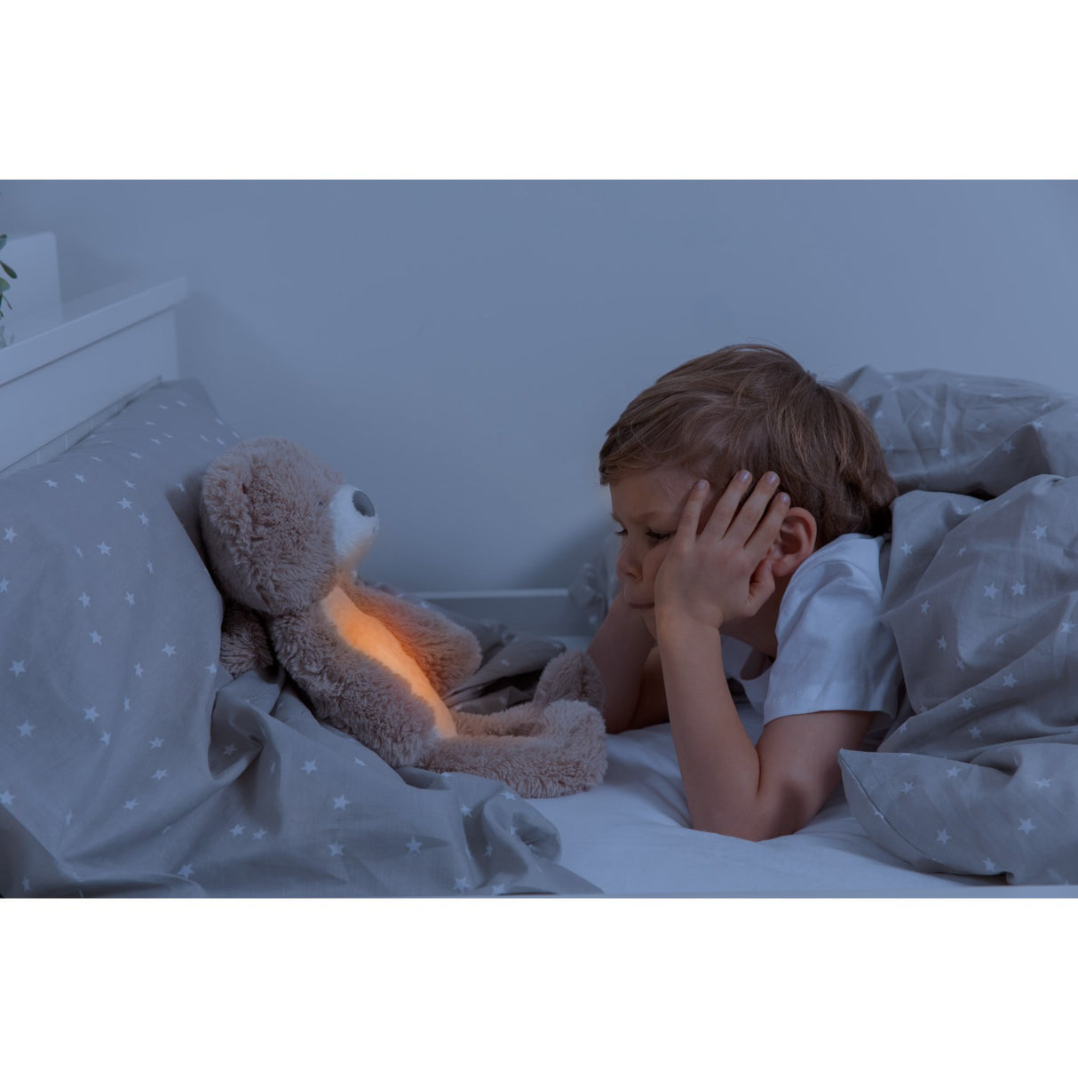 Zazu Brown Brody The Bjørn Søvntrener