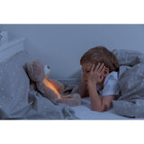 Zazu Brown Brody The Bjørn Søvntrener