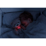 Zazu Brown Brody The Bjørn Søvntrener