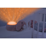 Zazu Brown Ruby The Rabbit Projector