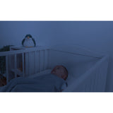 Zazu Red Shally The Sparrow Projector